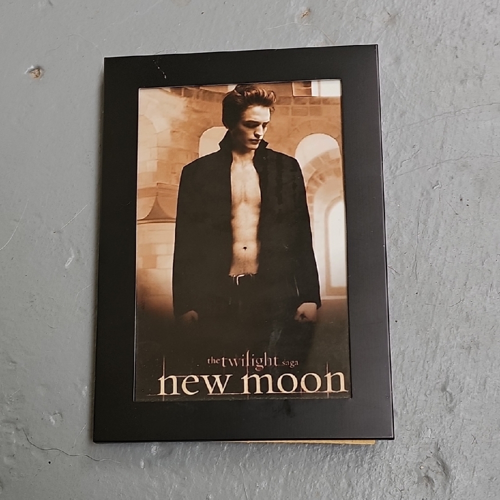 Twilight Saga New Moon Picture Framed 4x6